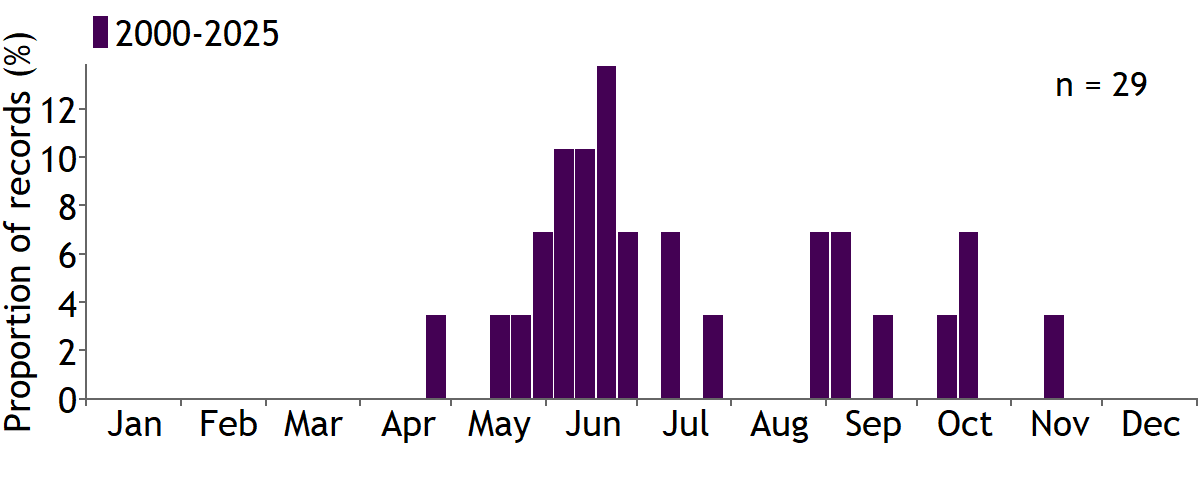 Moths